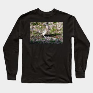 Winter Sighting Of The Greater Roadrunner Long Sleeve T-Shirt